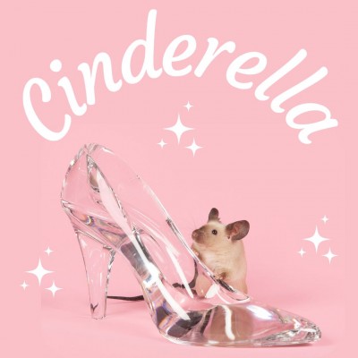 Cinderella